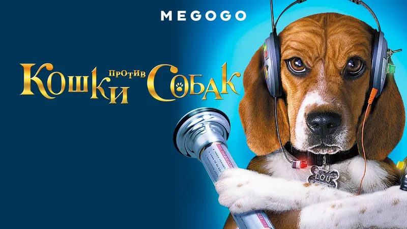 Кино, MEGOGO, отбасы, сурет - Zakon.kz жаңалық 23.09.2026 22:02