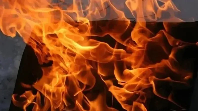 Өрт, Жетісу облысы, дала өрті, Алакөл ауданы, Бесағаш, қамыс, сурет - Zakon.kz жаңалық 27.09.2026 15:37