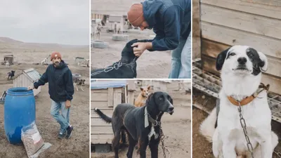 Иттер, Dog House Твардовский дом, Владимир Тепляков
