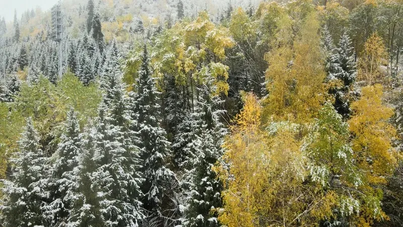 Қар, жауын-шашын, Алматы, ауа райы болжамы, 17 қазан, 18 қазан, 19 қазан, 20 қазан, 21 қазан, 22 қазан, 23 қазан, сурет - Zakon.kz жаңалық 16.10.2026 18:14