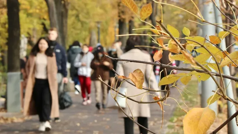 2027 жылы қазақстандықтардың өмірі едәуір жеңілдеуі мүмкін, сурет - Zakon.kz жаңалық 20.10.2026 19:06