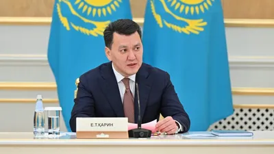 Ерлан Қарин, Астана, Ақорда, ішкі саясат, республикалық кеңес 
